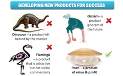 The new product development objective