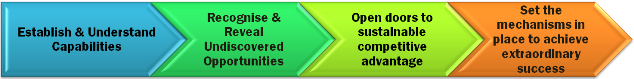 strategic business consulting
