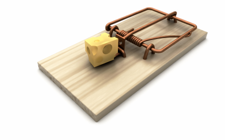 Product Management Consultants Sydney